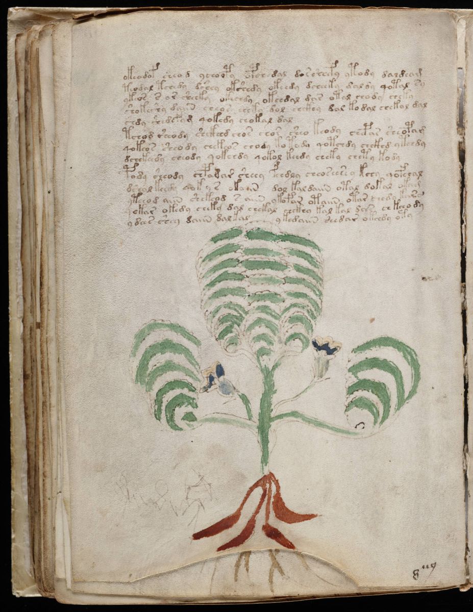Voynich Manuscript (120).jpg