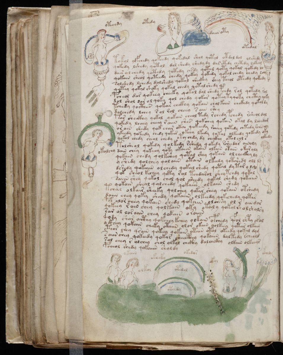 Voynich Manuscript (150).jpg
