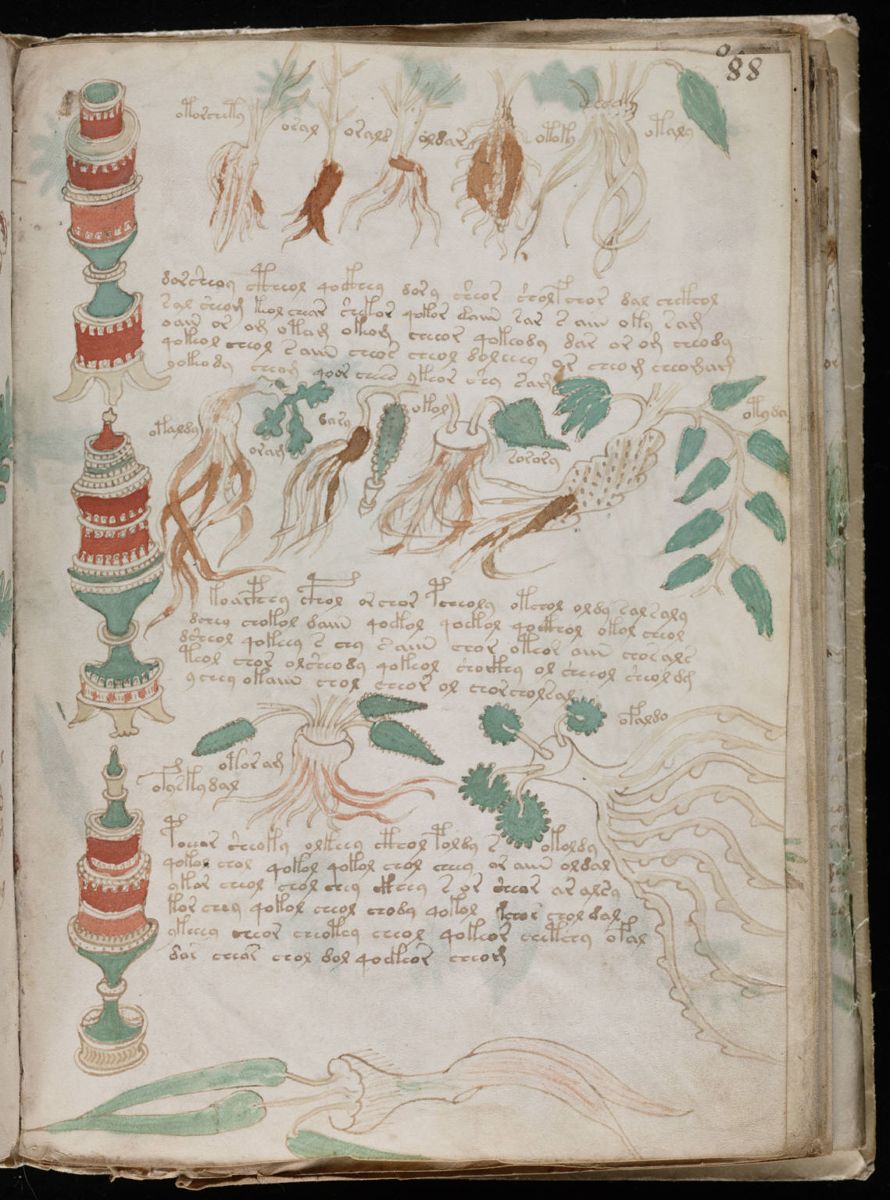 Voynich Manuscript (161).jpg