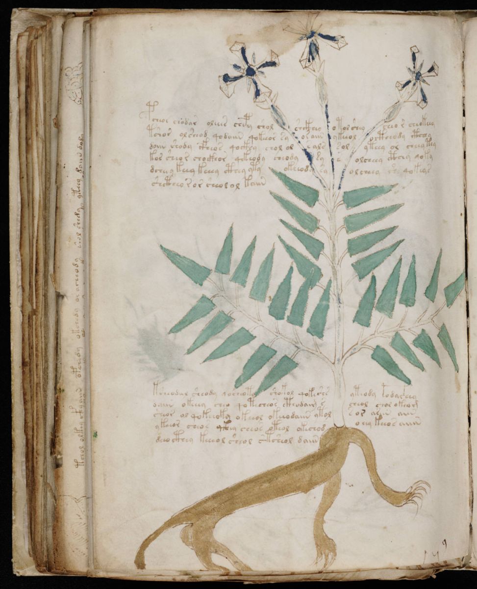 Voynich Manuscript (166).jpg