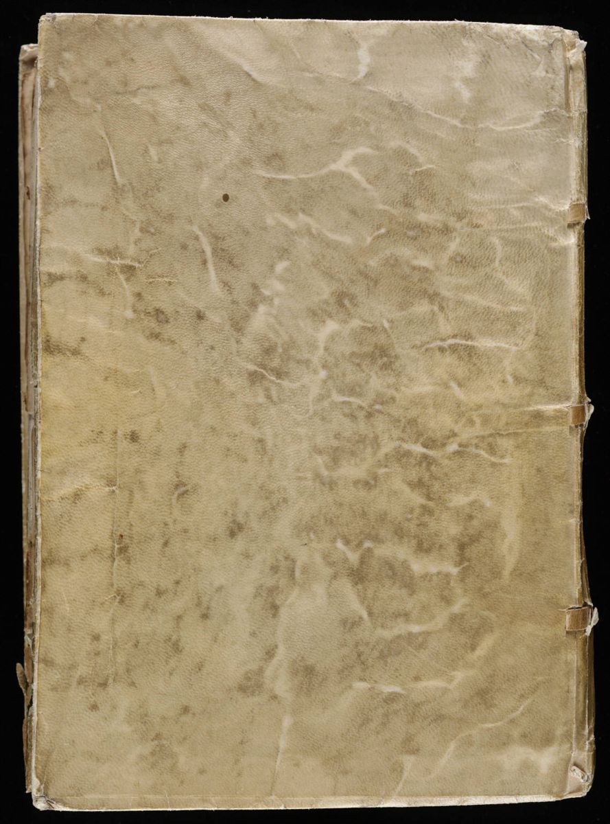 Voynich Manuscript (209).jpg