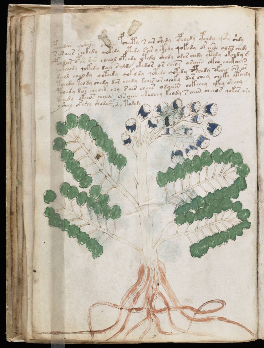 Voynich Manuscript (52).jpg