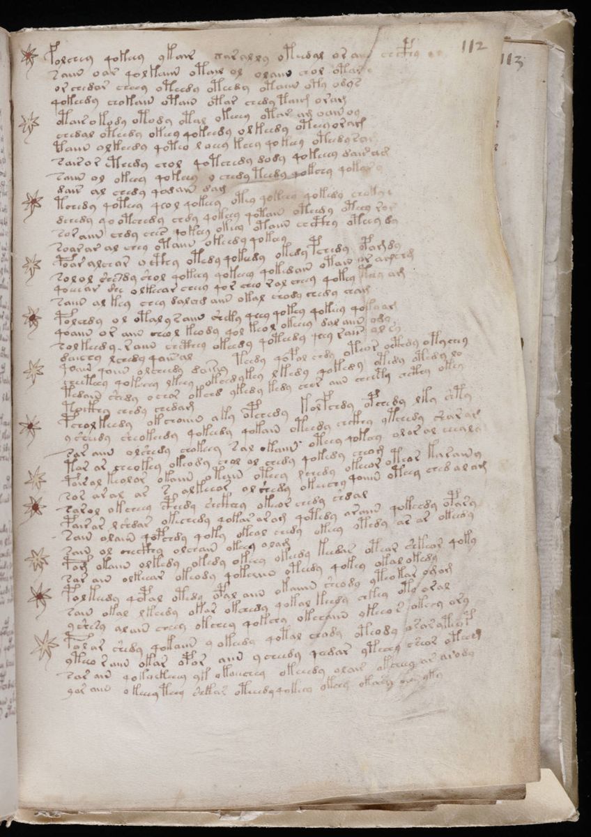 Voynich Manuscript (197).jpg