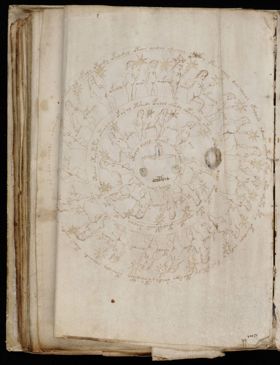 Voynich Manuscript (132).jpg