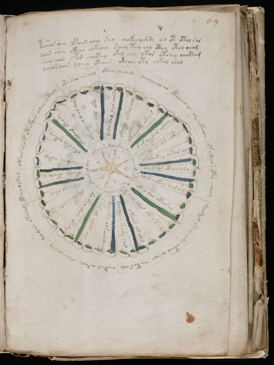 Voynich Manuscript (125).jpg