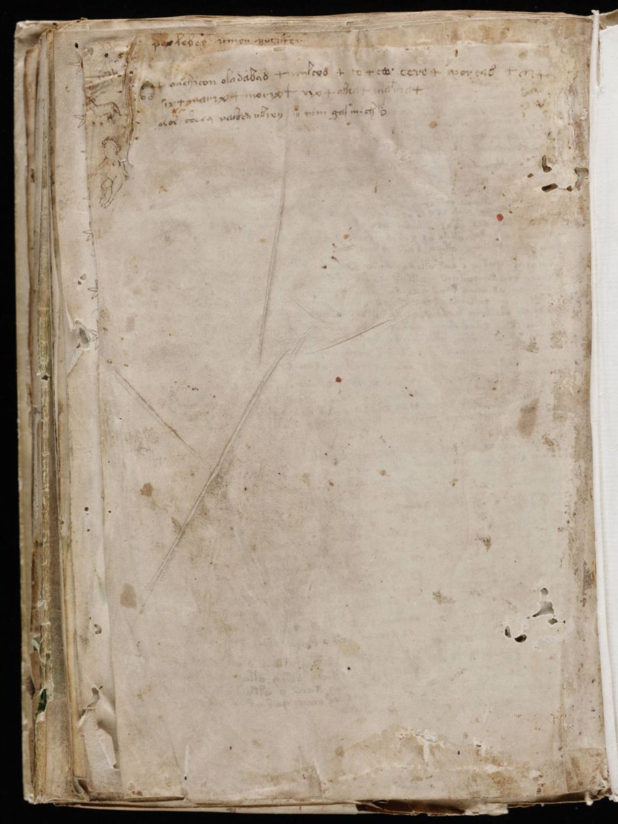 Voynich Manuscript (206).jpg