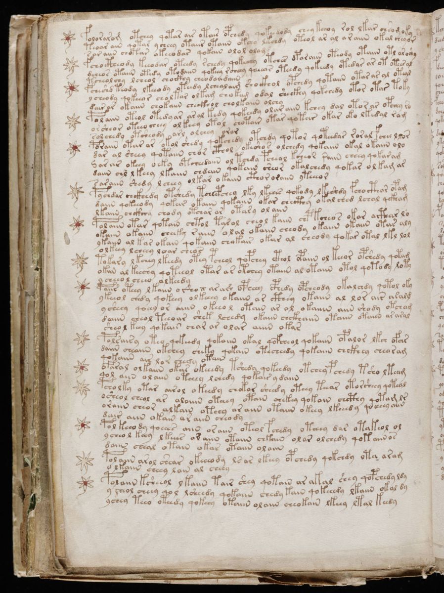 Voynich Manuscript (200).jpg