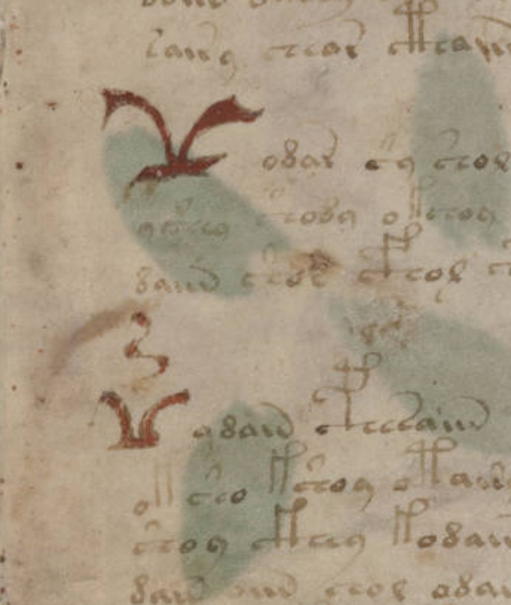 Voynich Manuscript - folio 1r détail.jpg