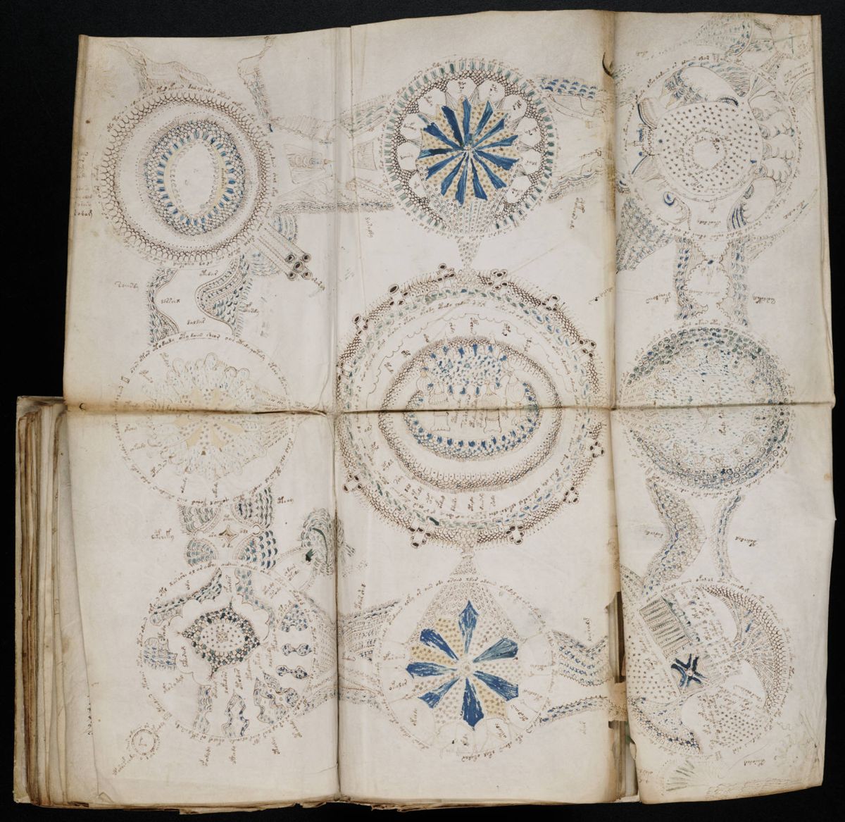 Voynich Manuscript (158).jpg