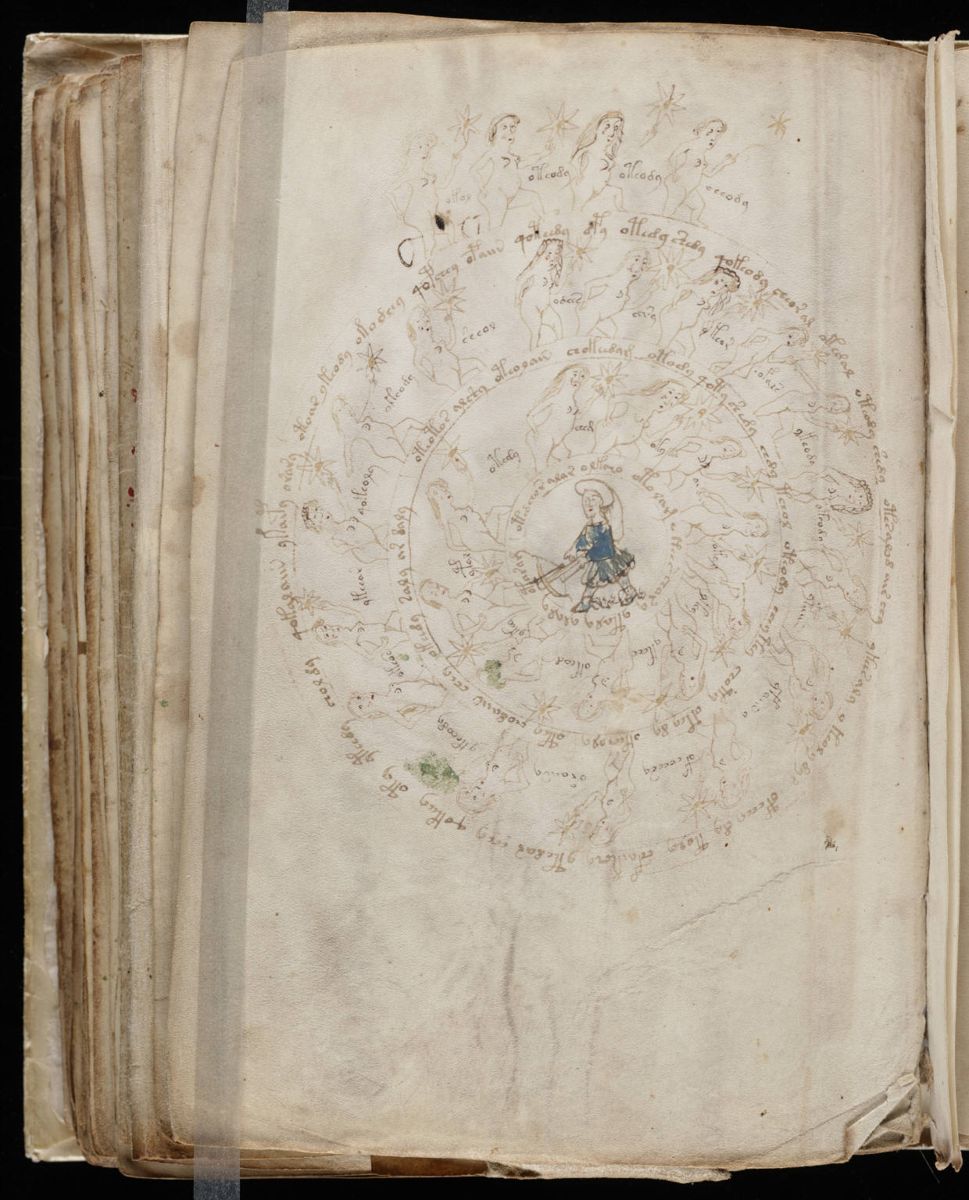 Voynich Manuscript (134).jpg