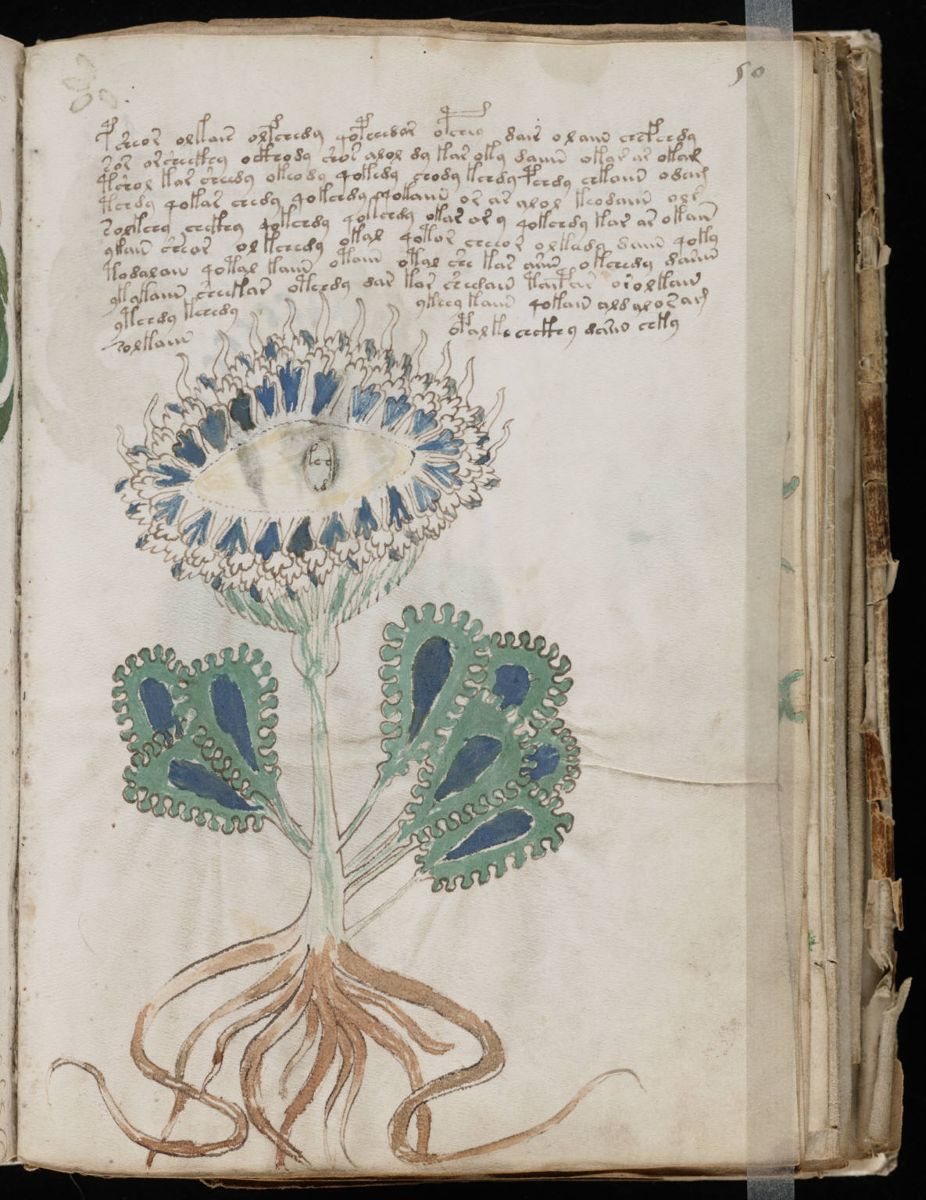 Voynich Manuscript (99).jpg