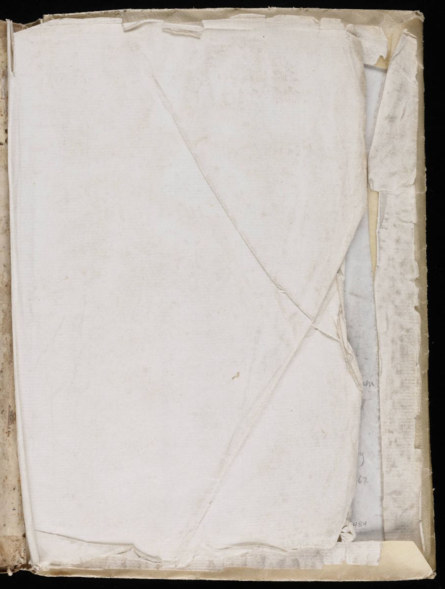 Voynich Manuscript (207).jpg