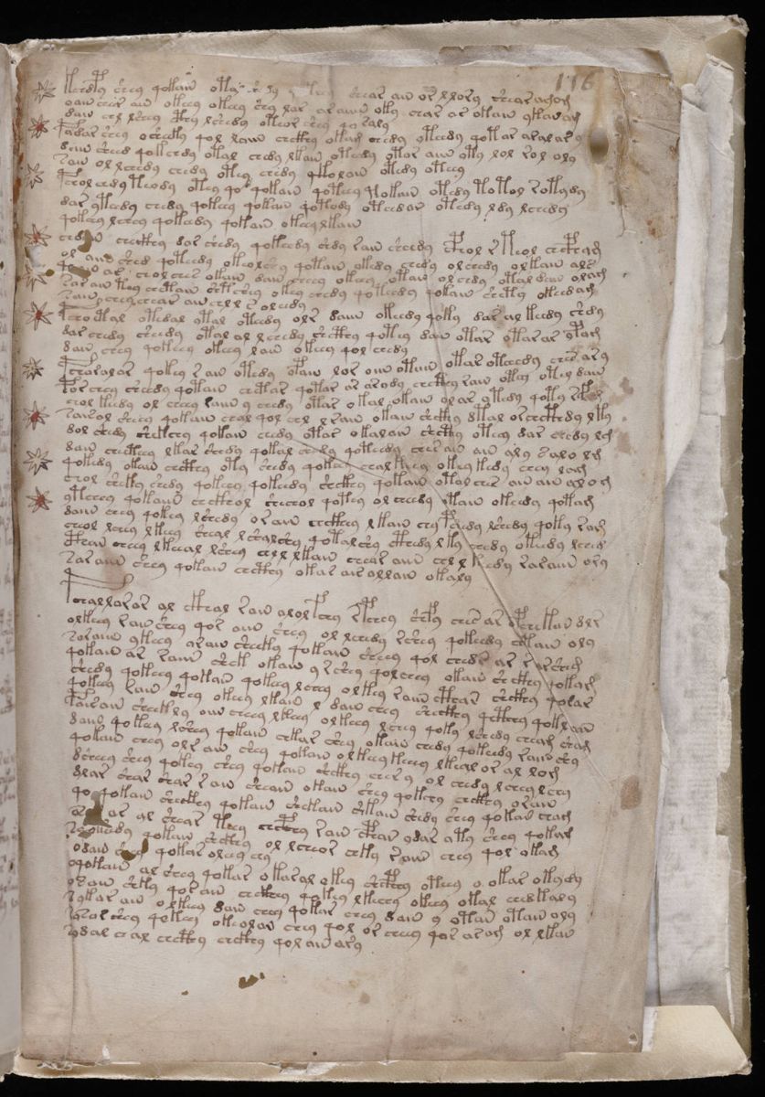 Voynich Manuscript (205).jpg