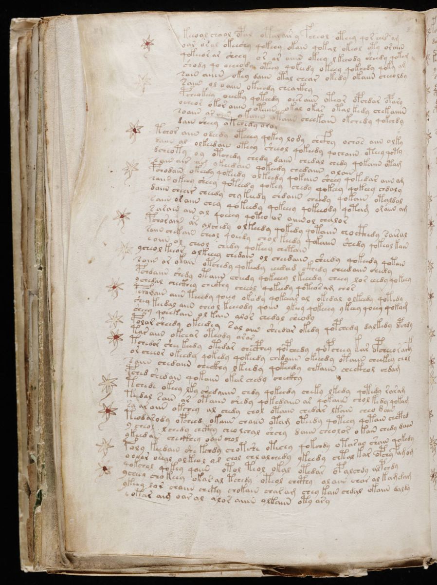 Voynich Manuscript (198).jpg