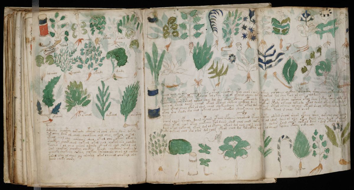 Voynich Manuscript (178).jpg