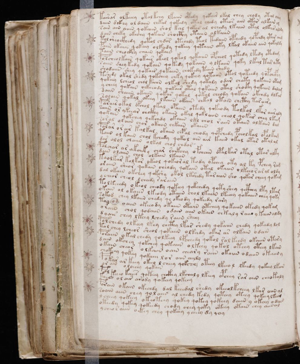 Voynich Manuscript (192).jpg