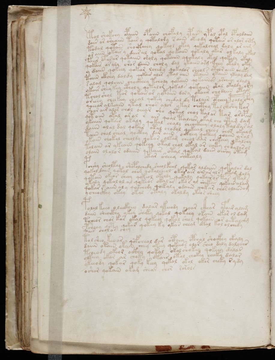 Voynich Manuscript (116).jpg