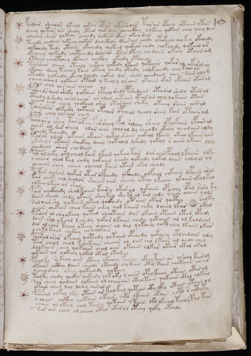 Voynich Manuscript (191).jpg
