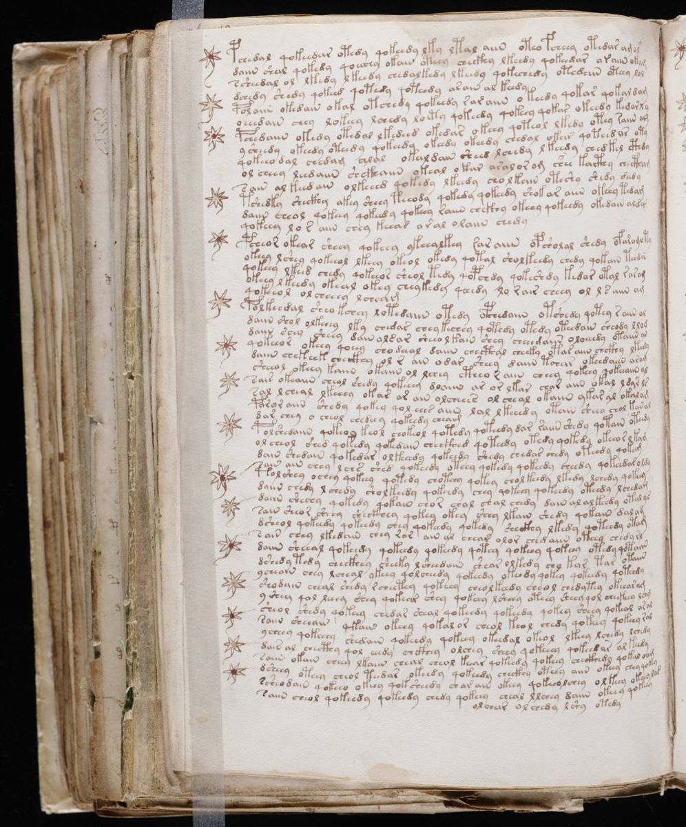 Voynich Manuscript (194).jpg