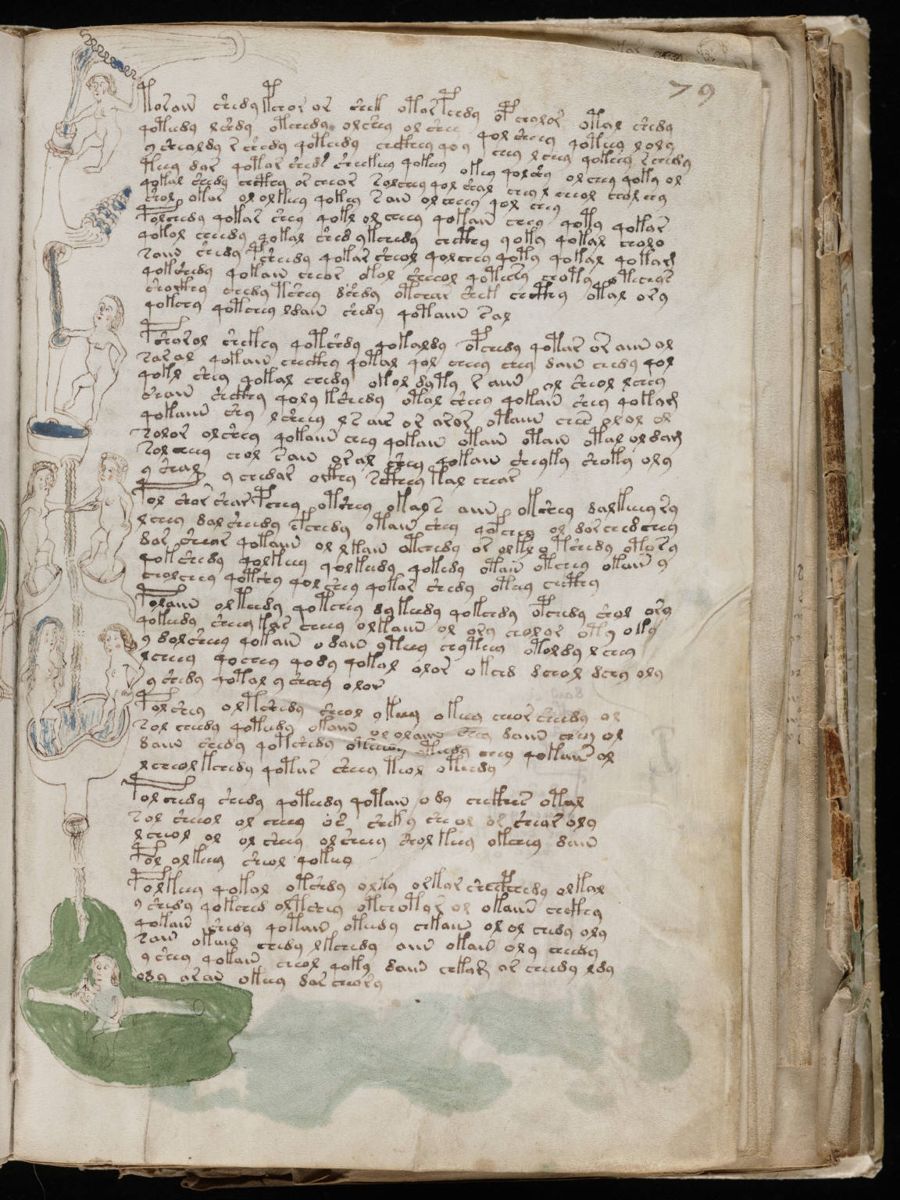 Voynich Manuscript (143).jpg