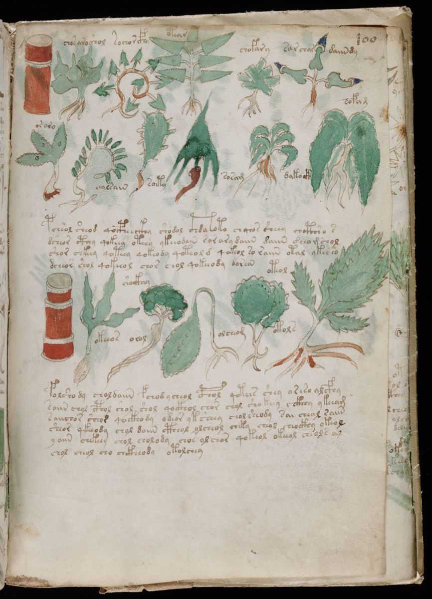 Voynich Manuscript (177).jpg