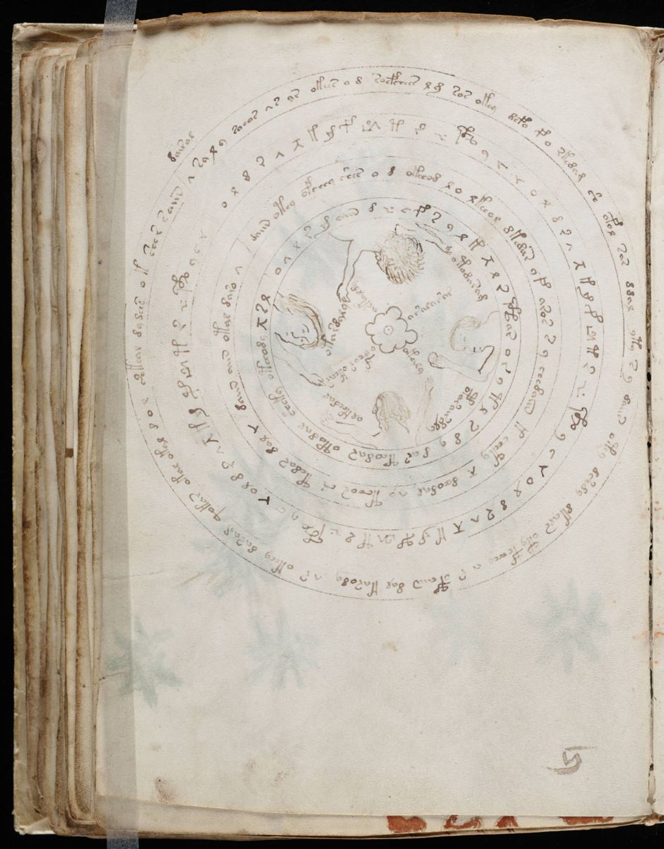 Voynich Manuscript (114).jpg