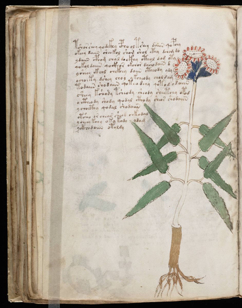 Voynich Manuscript (106).jpg