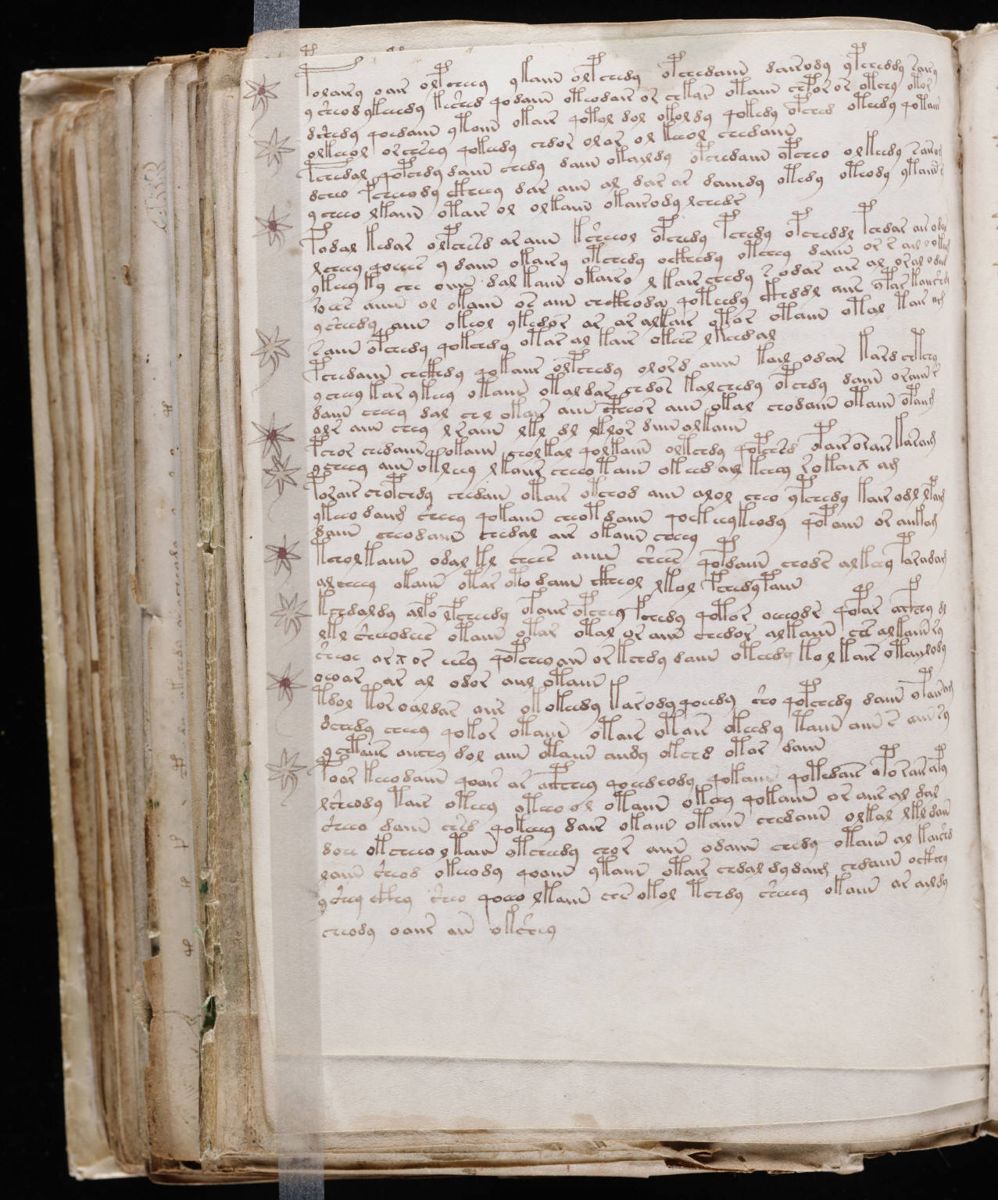 Voynich Manuscript (188).jpg