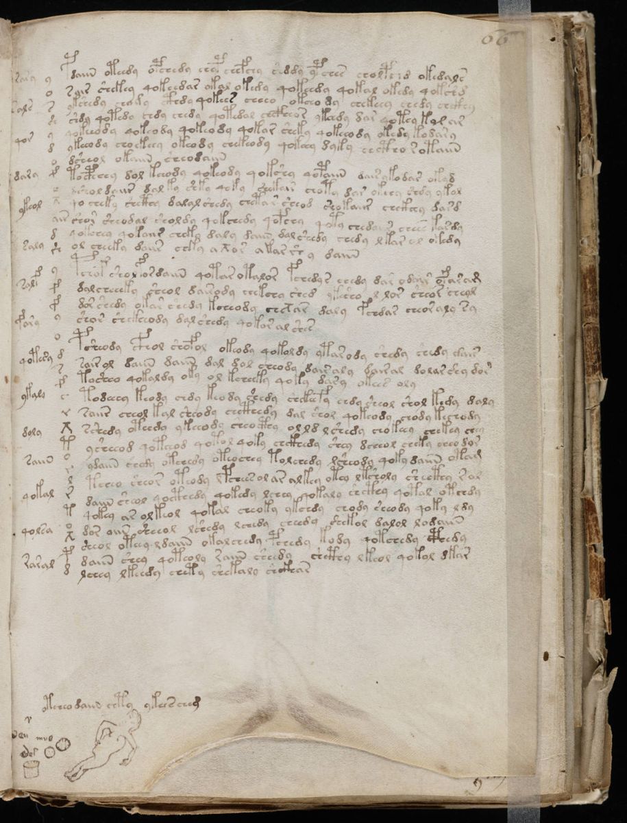 Voynich Manuscript (119).jpg