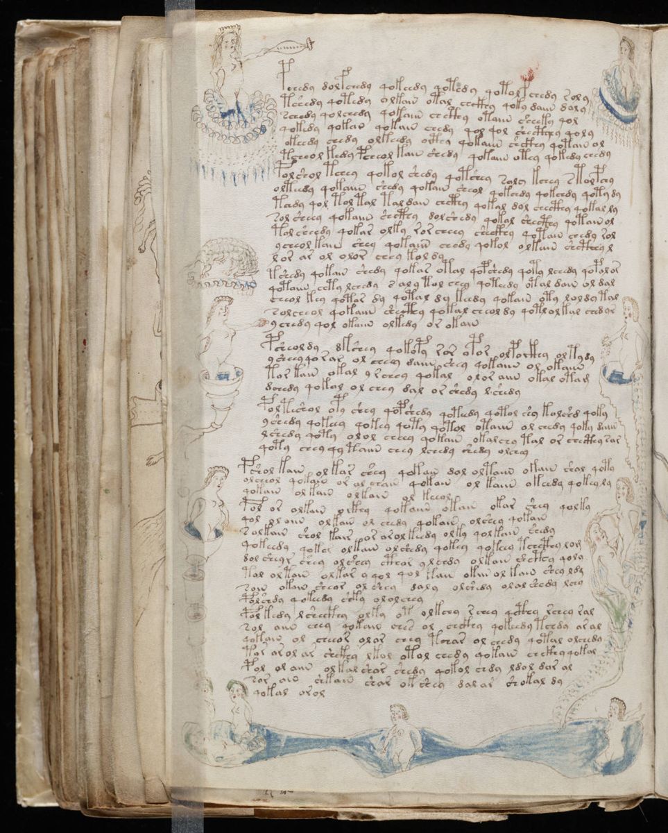 Voynich Manuscript (146).jpg