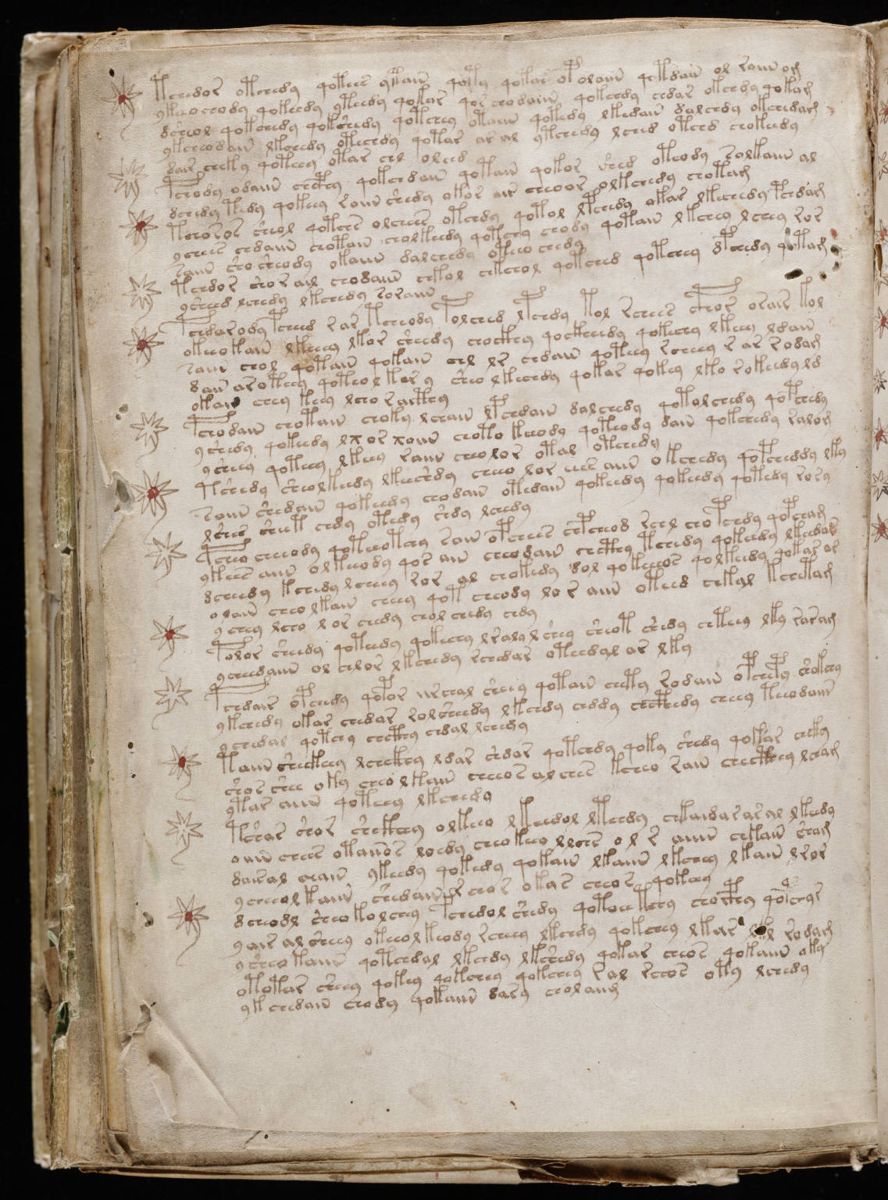 Voynich Manuscript (204).jpg
