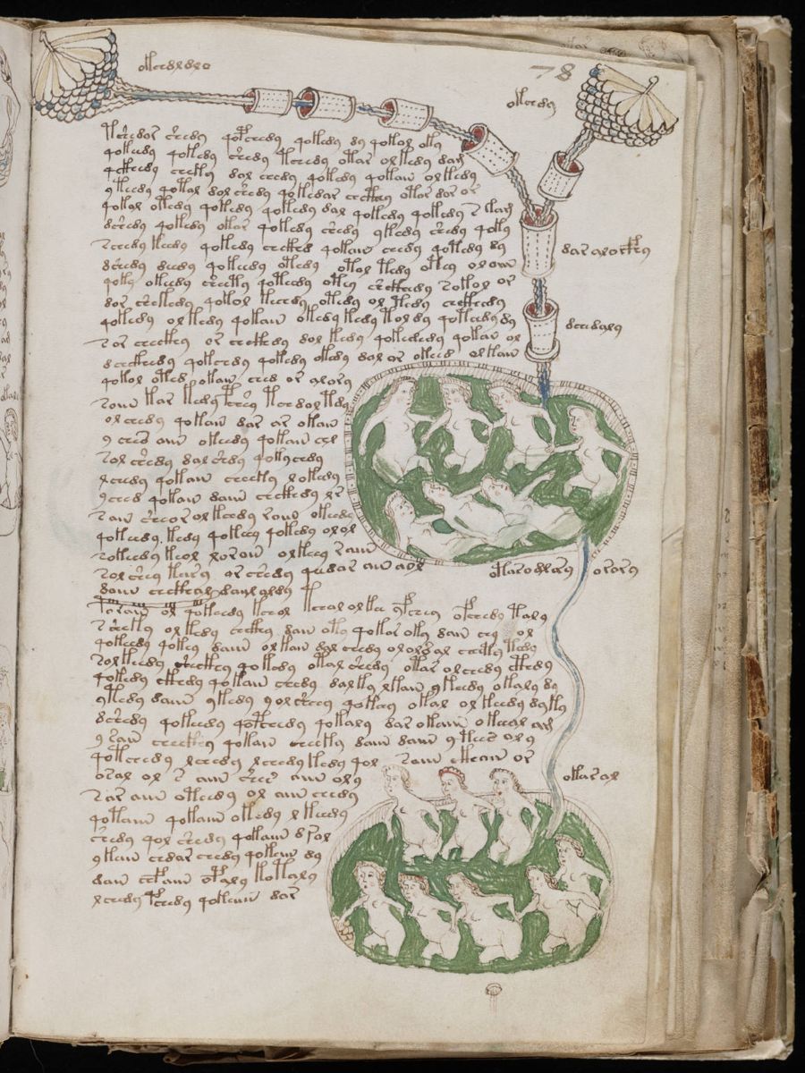 Voynich Manuscript (141).jpg