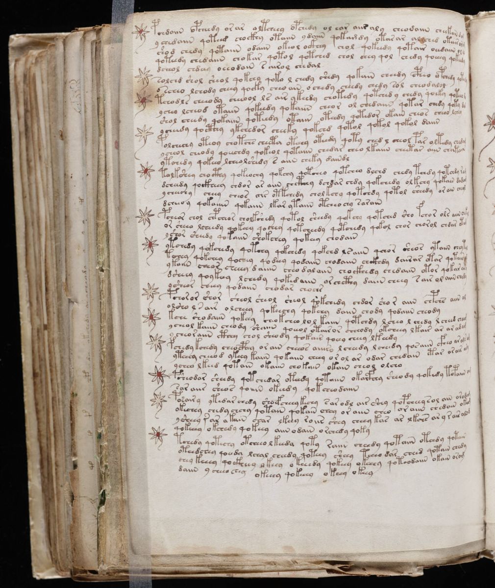 Voynich Manuscript (186).jpg