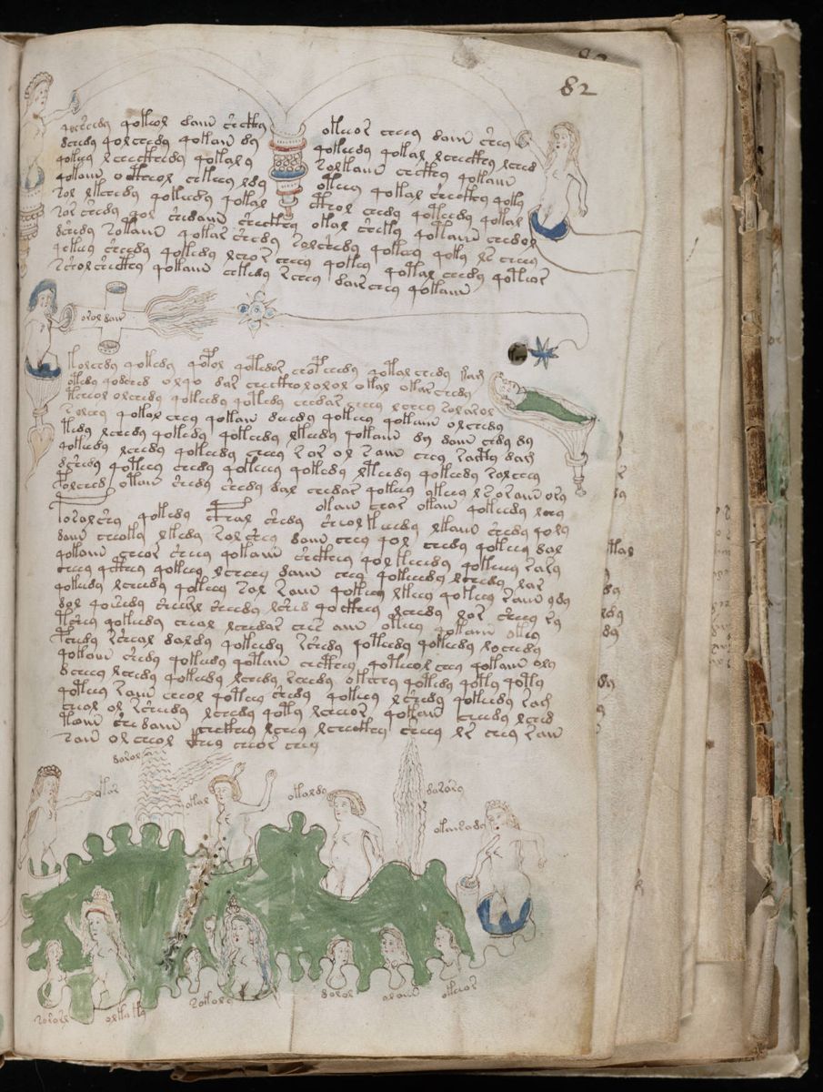 Voynich Manuscript (149).jpg