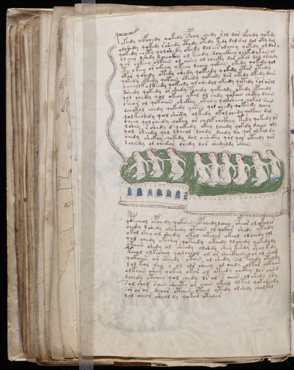 Voynich Manuscript (142).jpg