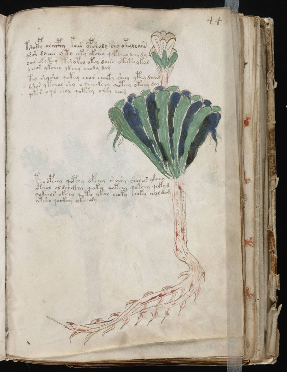 Voynich Manuscript (87).jpg