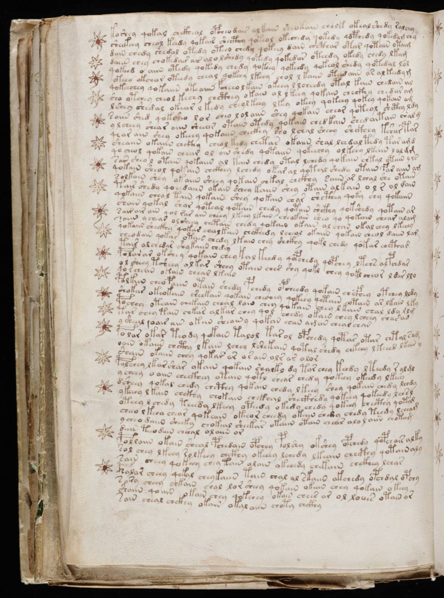 Voynich Manuscript (196).jpg