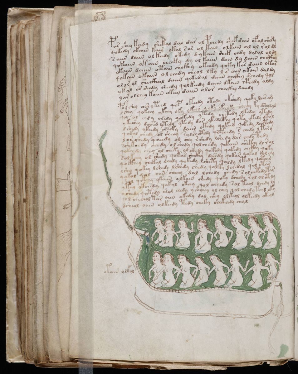 Voynich Manuscript (148).jpg