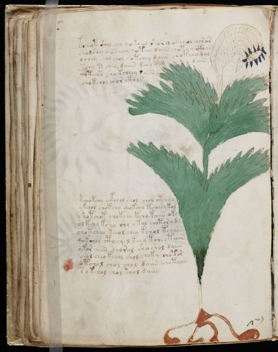 Voynich Manuscript (112).jpg