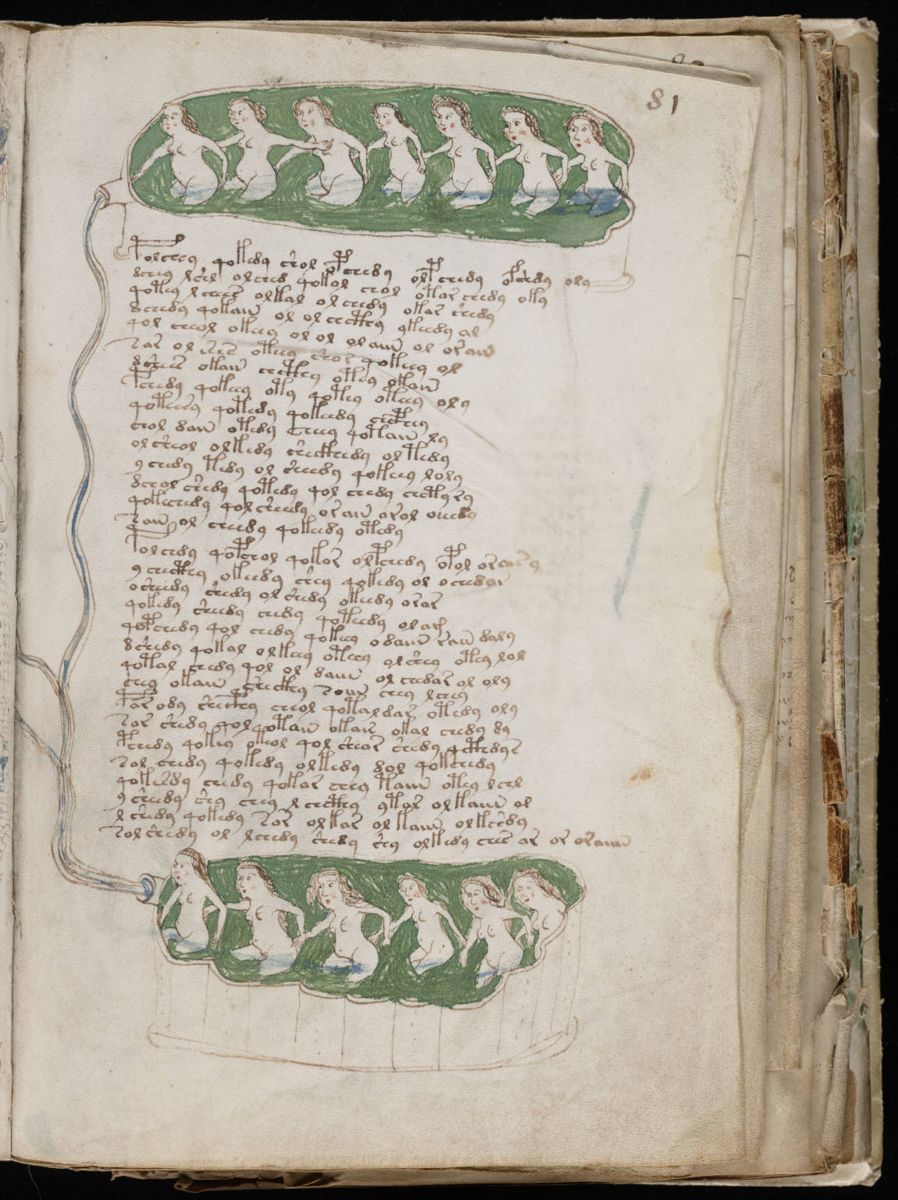 Voynich Manuscript (147).jpg