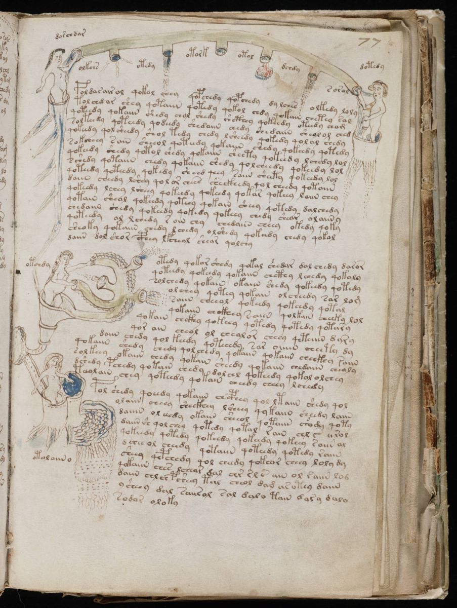 Voynich Manuscript (139).jpg