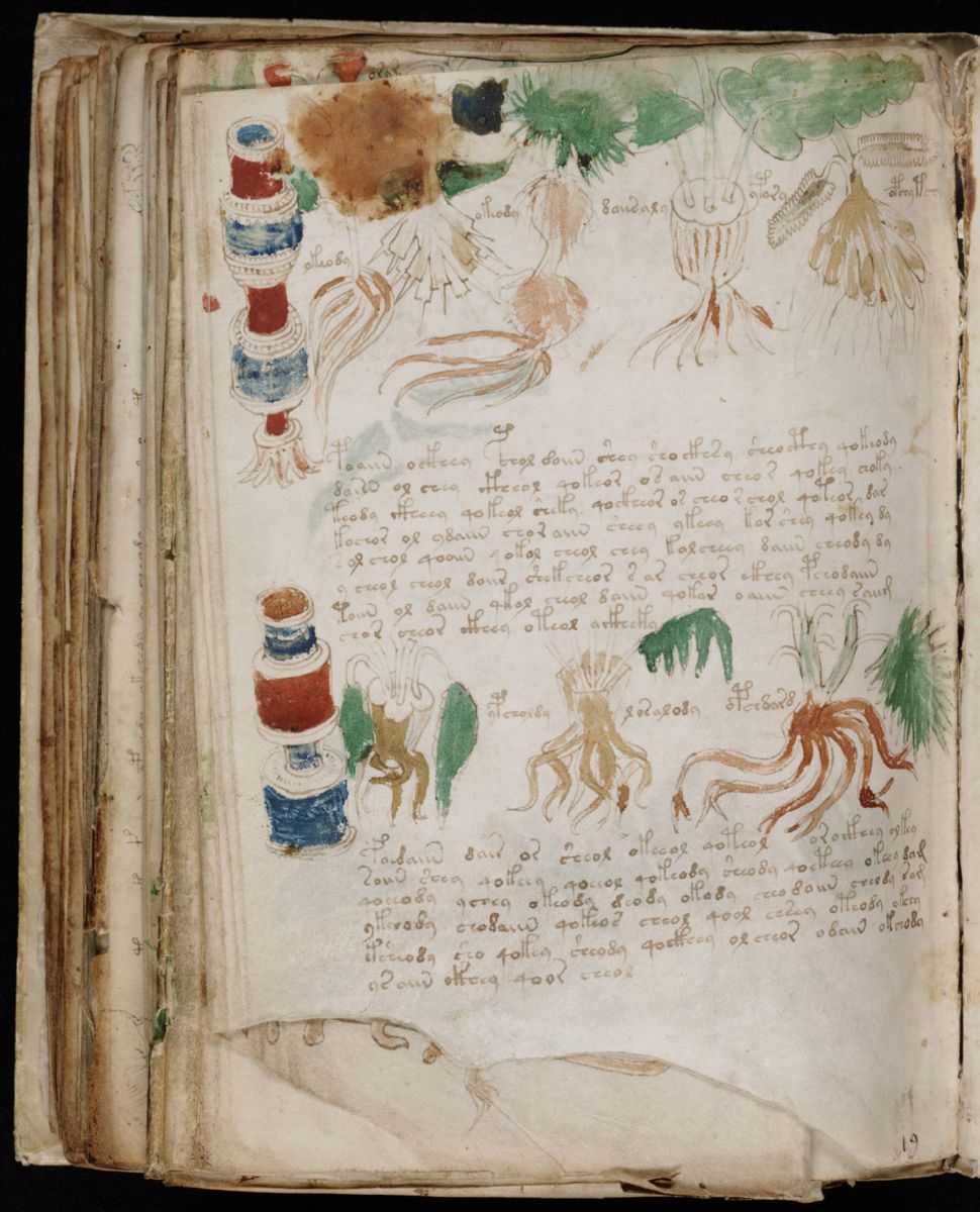 Voynich Manuscript (182).jpg