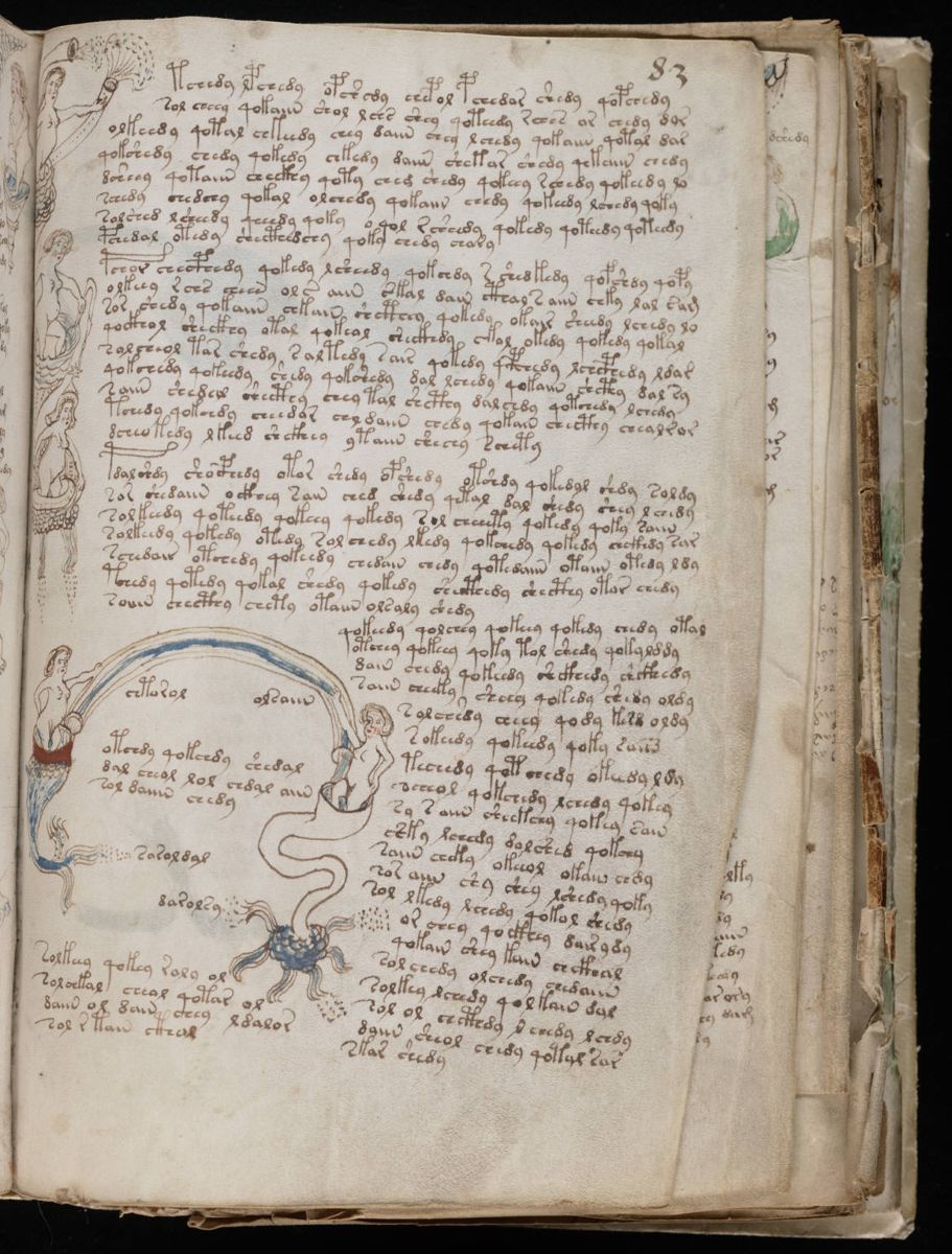 Voynich Manuscript (151).jpg