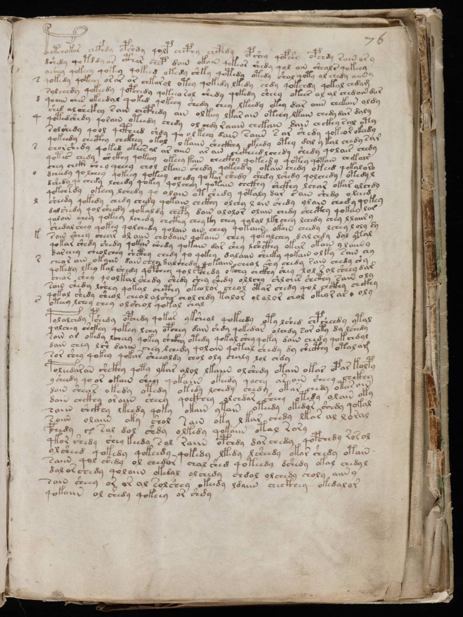 Voynich Manuscript (137).jpg