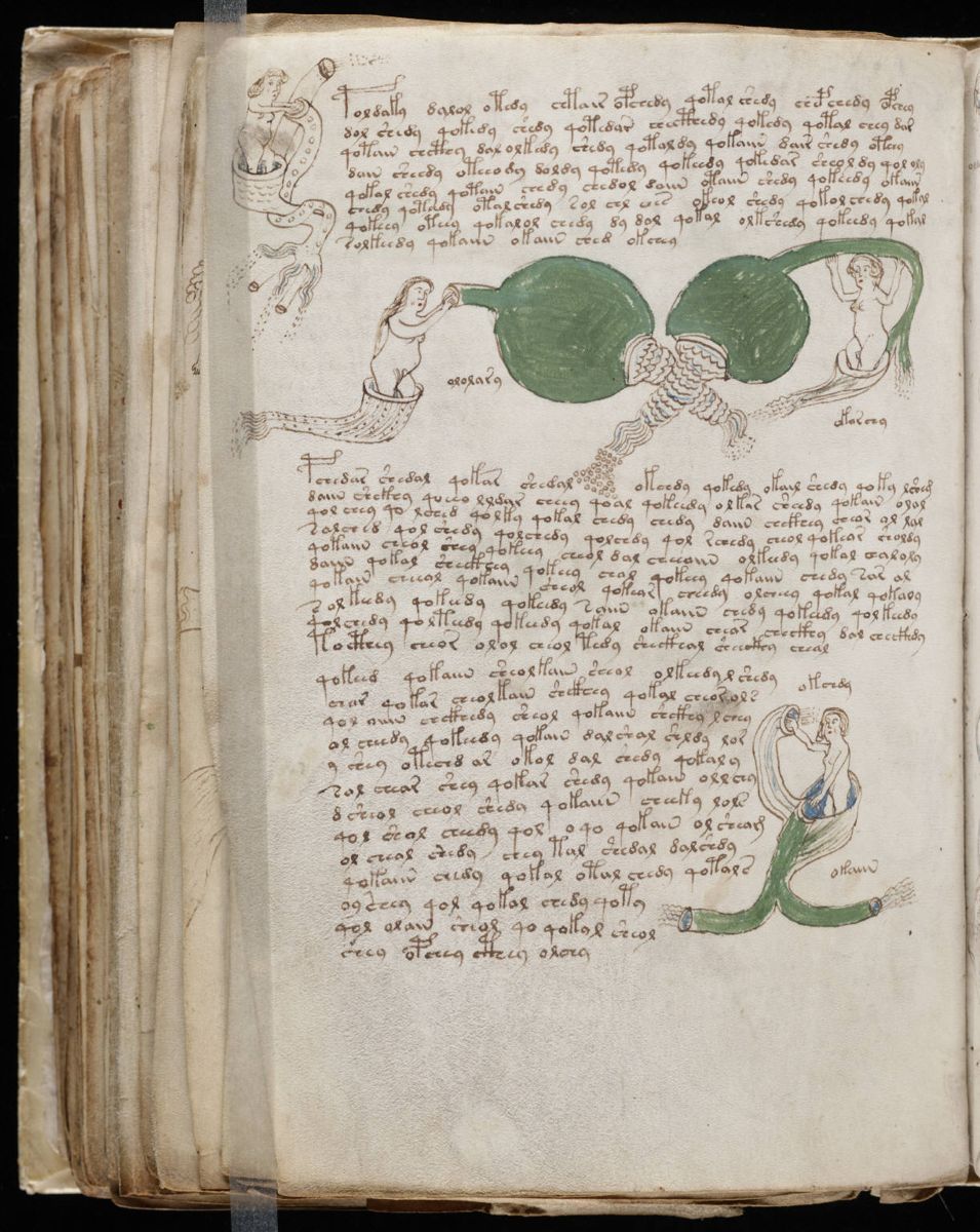 Voynich Manuscript (152).jpg