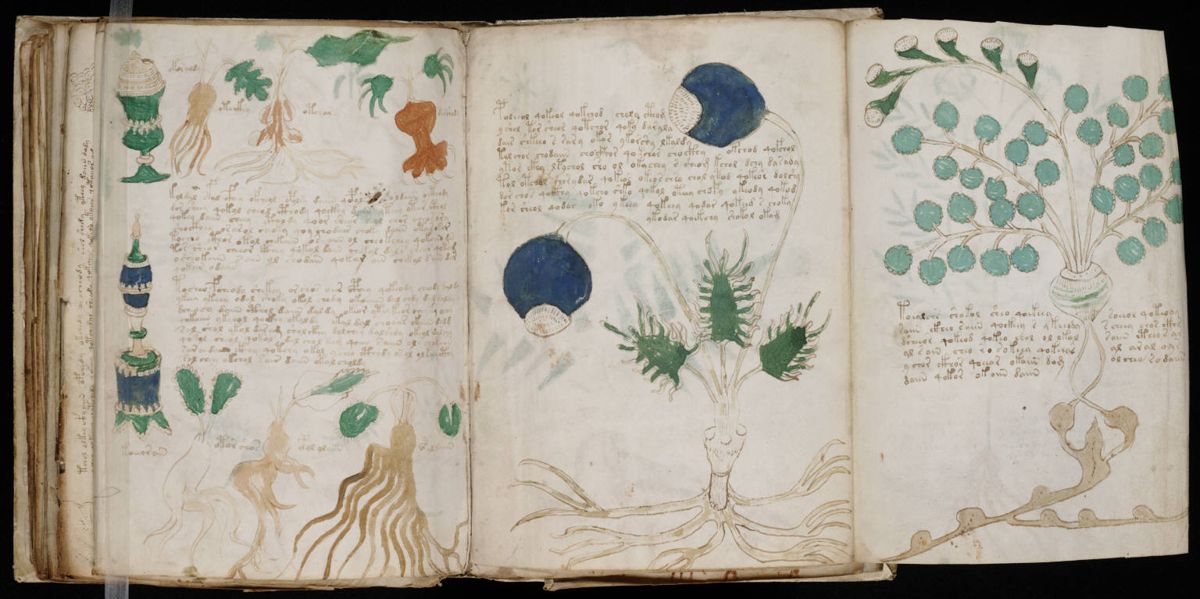 Voynich Manuscript (164).jpg