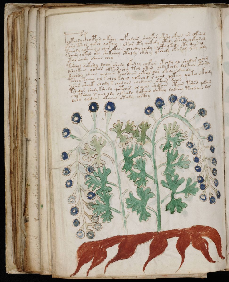 Voynich Manuscript (172).jpg