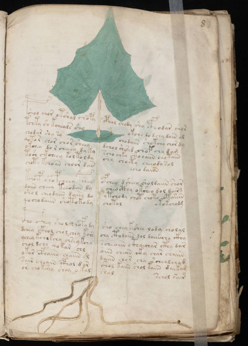 Voynich Manuscript (17).jpg