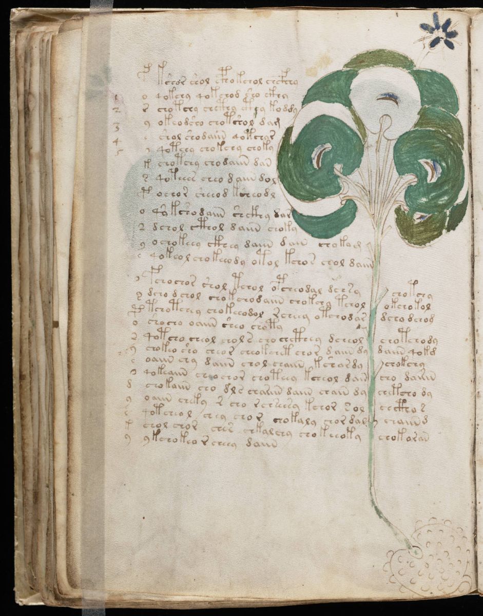 Voynich Manuscript (98).jpg