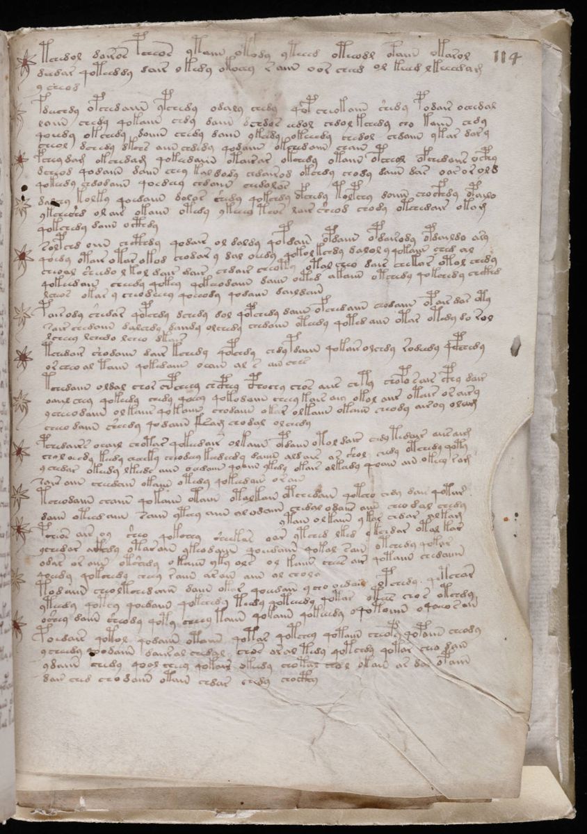 Voynich Manuscript (201).jpg